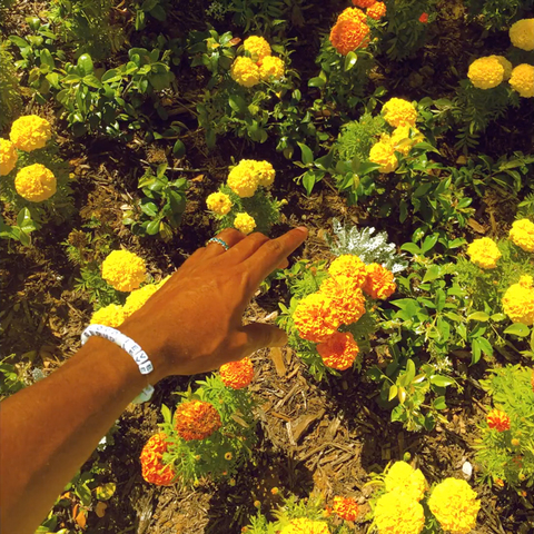 Tyler, The Creator - Peach Fuzz