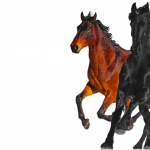 Old Town Road
