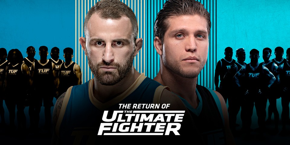 Ultimate Fighter