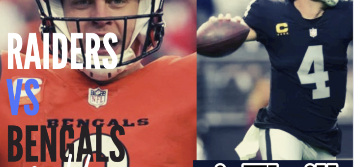 NFL Wild Card Weekend