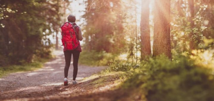 Relaxing Outdoor Activities To Destress and Enjoy Nature