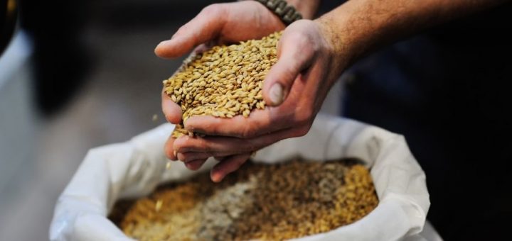 The Basic Ingredients of Brewing Your Own Beer