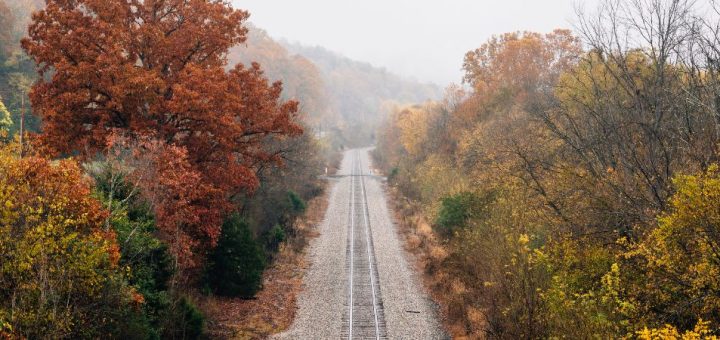 Experiences To Consider When You Holiday in Blue Ridge