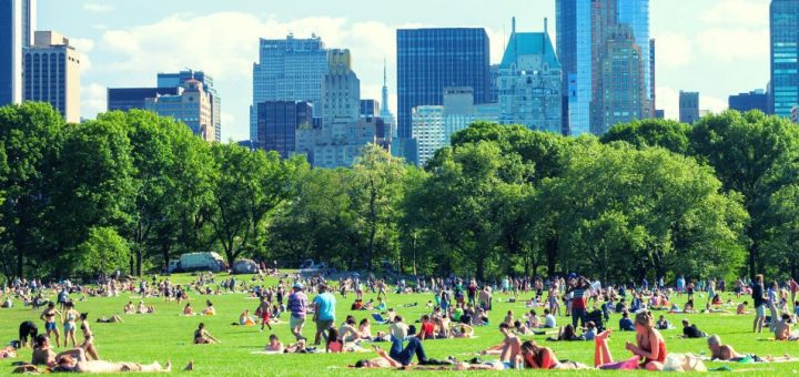 Tips for Improving the Sanitation of Park Districts
