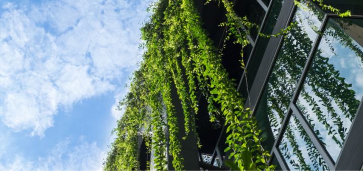 5 Ways To Make Cities More Sustainable and Functional