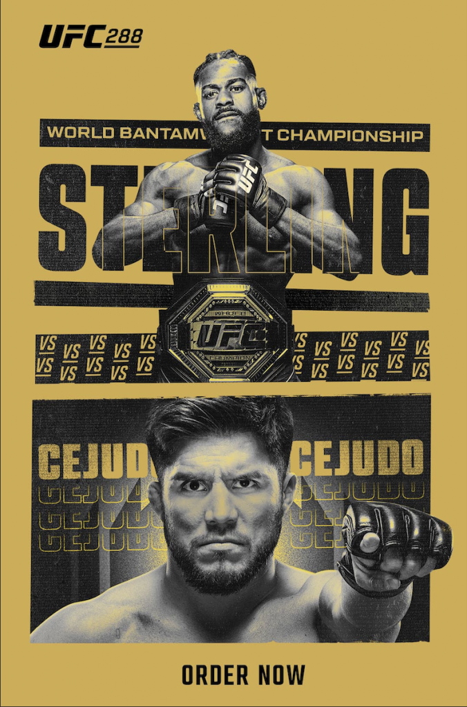 UFC 288