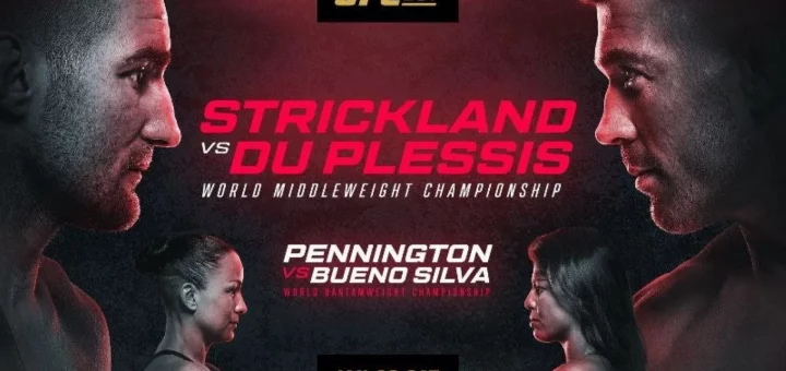 UFC 297 Poster