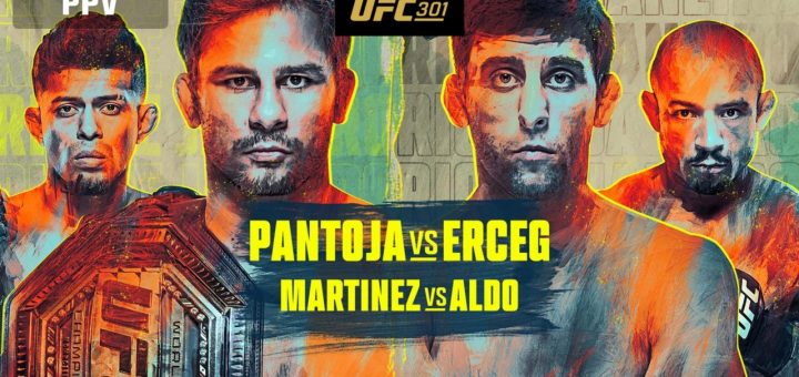 UFC 301