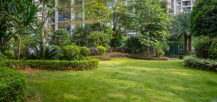 A well-manicured and maintained park with trees and flowers sits between tall city apartment buildings.