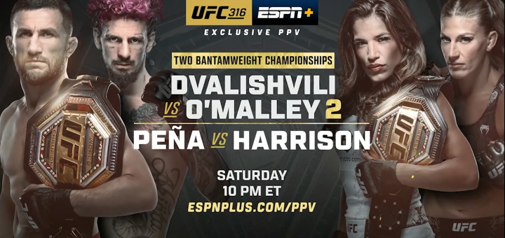UFC 316 Dvalishvili vs O'Malley Poster