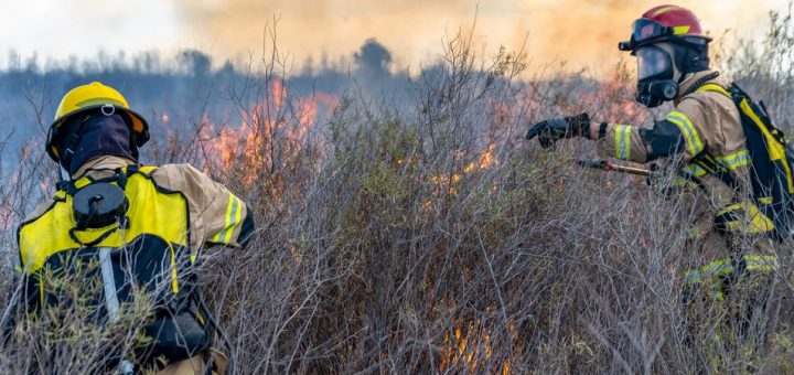 Two wildland firefighters wearing bright yellow protective equipment and helmets stand near burning brush.