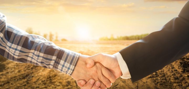 A person in a plaid shirt shaking hands with a person in a suit in front of a piece of undeveloped land.