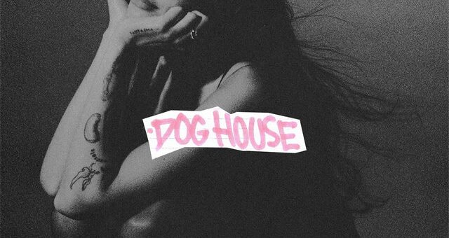 Drake Dog House Single Cover
