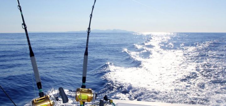 A close-up view shows two black fishing poles with gold reels resting on a white boat that's on the water.