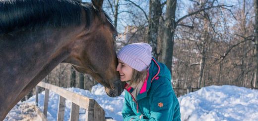 A smiling woman wearing a teal winter coat and white stocking cap is leaning on wooden fence and pressing her cheek against the face of a brown horse.