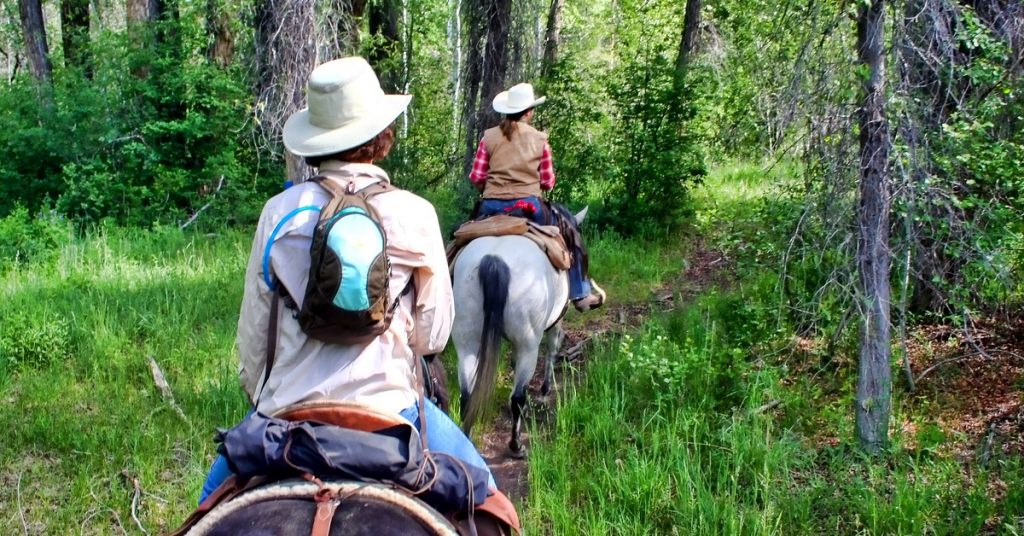 Riders follow a scenic high-country mountain trail on horseback at a guest ranch under clear blue skies.