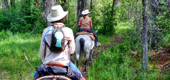 Riders follow a scenic high-country mountain trail on horseback at a guest ranch under clear blue skies.