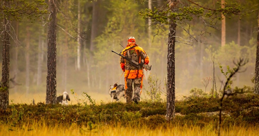 A hunter runs with hunting dogs in the wilderness, tracking game through rugged terrain surrounded by the forest.