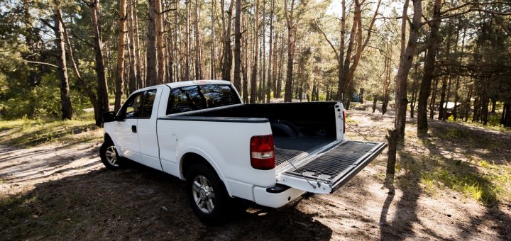 A pickup truck with tinted windows and an open rear door, parked on a dirt road next to a forest with skinny trees.