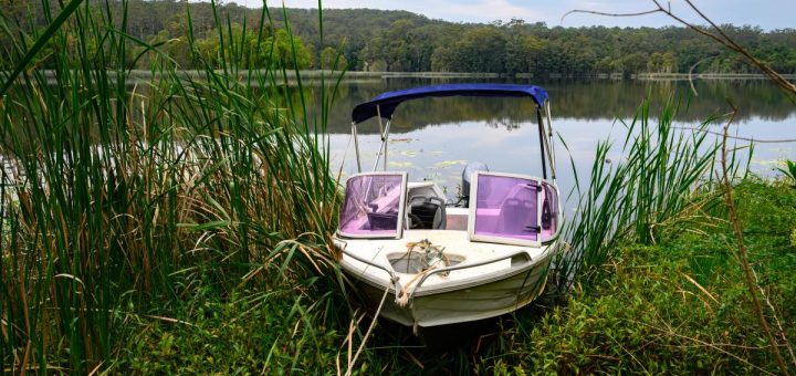 A small boat with a rope attached to the front floats on the bank of a body of water. Weeds and vegetation surround the boat.