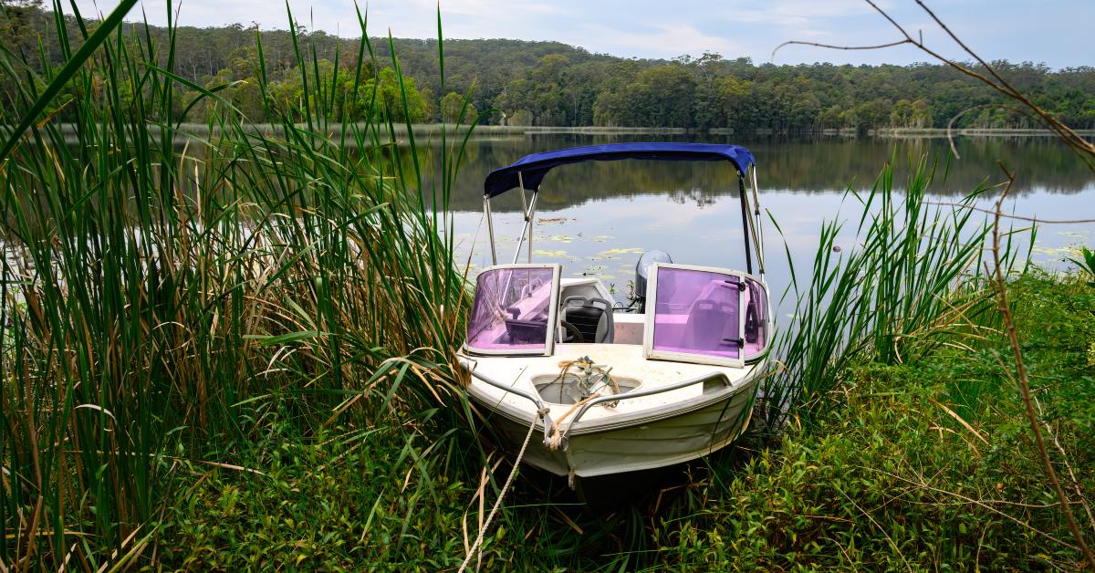 A small boat with a rope attached to the front floats on the bank of a body of water. Weeds and vegetation surround the boat.