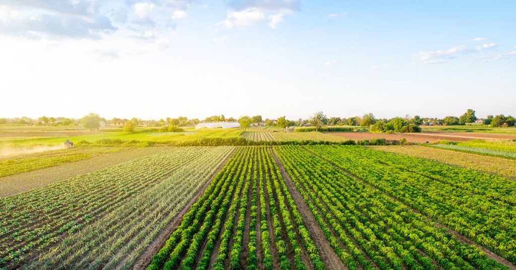 An aerial view of a farm. There are rows of vegetation, each having a section that has a different type of plant.