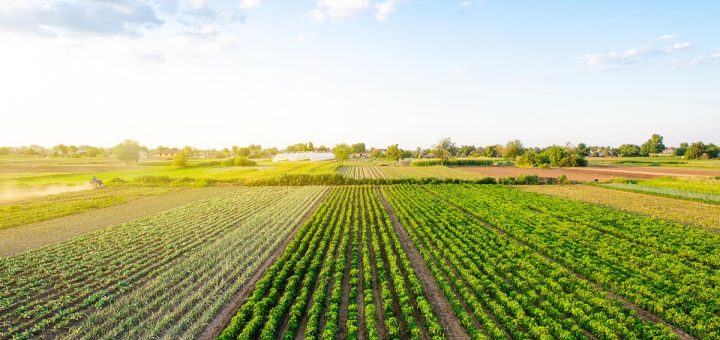 An aerial view of a farm. There are rows of vegetation, each having a section that has a different type of plant.