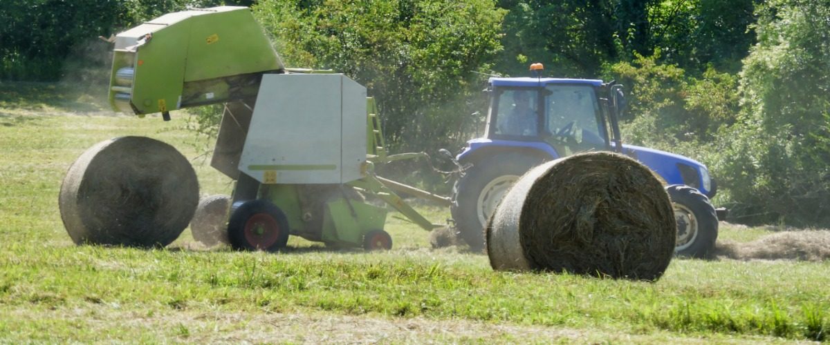 A green hay baler attached to a blue tractor outside on a sunny day. Two round hay bales lay on the ground nearby.