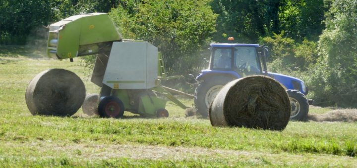 A green hay baler attached to a blue tractor outside on a sunny day. Two round hay bales lay on the ground nearby.