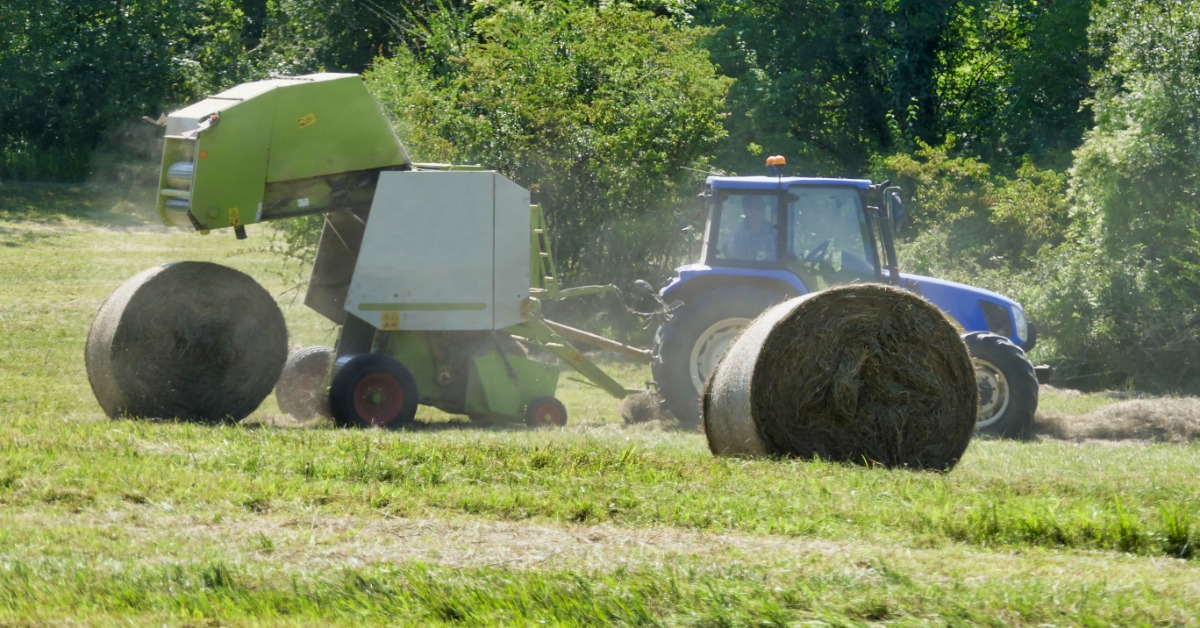 A green hay baler attached to a blue tractor outside on a sunny day. Two round hay bales lay on the ground nearby.